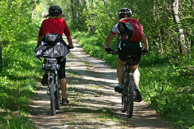 Entdecken Sie die Welt auf dem Hercules E Bike Damen und genießen Sie dabei ein gutes Buch