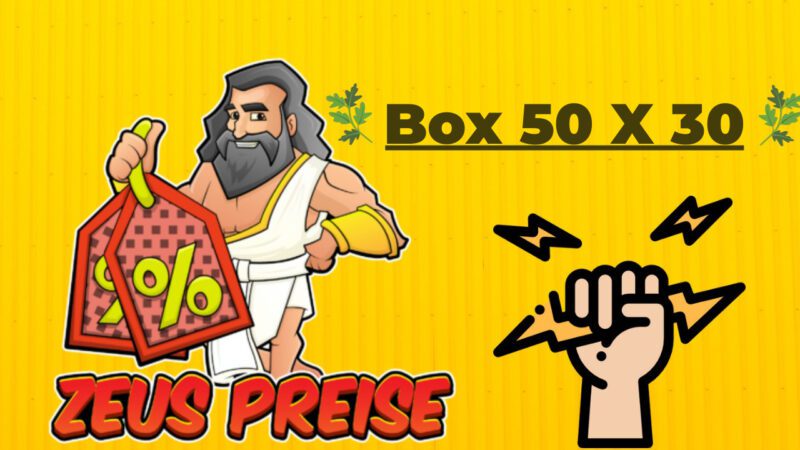 Effizienzsteigerung durch Box 50 X 30: Platzsparende Lösung für Lagerung und Transport